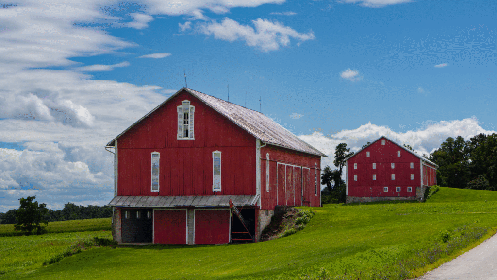 prbarnhuntwaynecounty 09152023 (53)